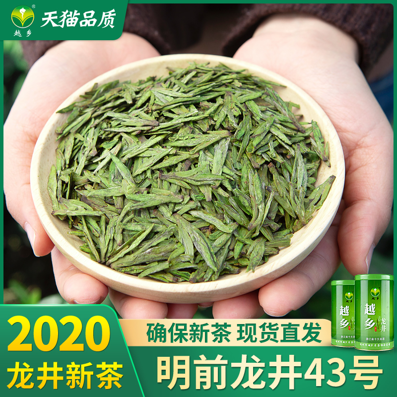 越乡龙井茶2020新茶特级明前龙井43号豆香年高山嫩芽茶叶绿茶100g